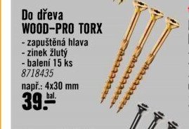 Do dřeva WOOD-PRO TORX