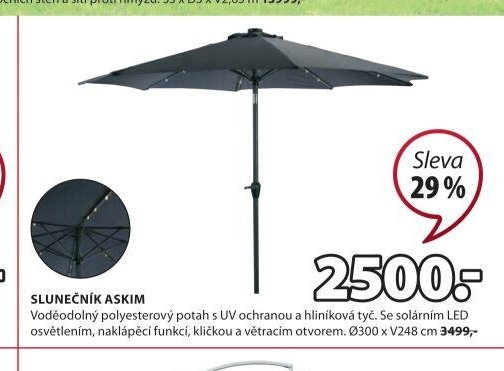 SLUNEČNÍK ASKIM