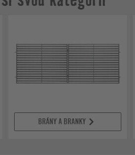 BRÁNY A BRANKY