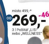 Polštář LISI nebo WELLNESS