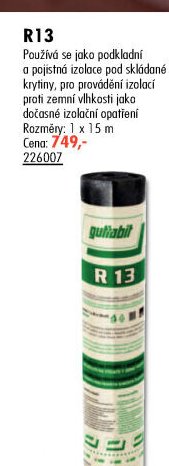 R13