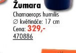 Žumara