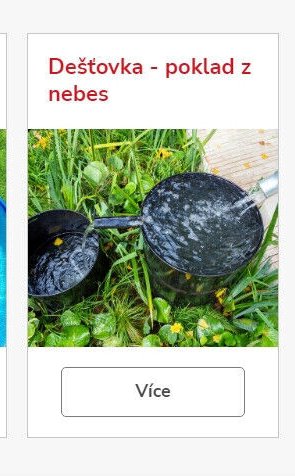Dešťovka - poklad z nebes