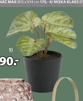 Umělá rostlina Leo