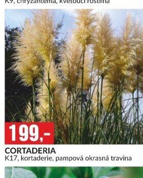 CORTADERIA