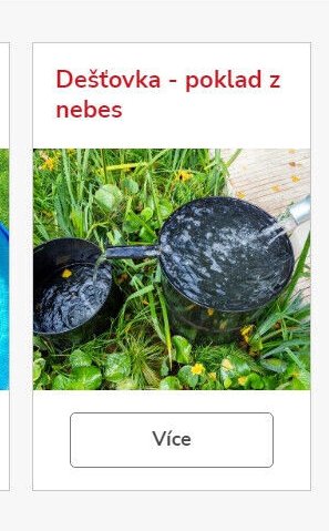Dešťovka - poklad z nebes