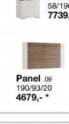 Panel .09