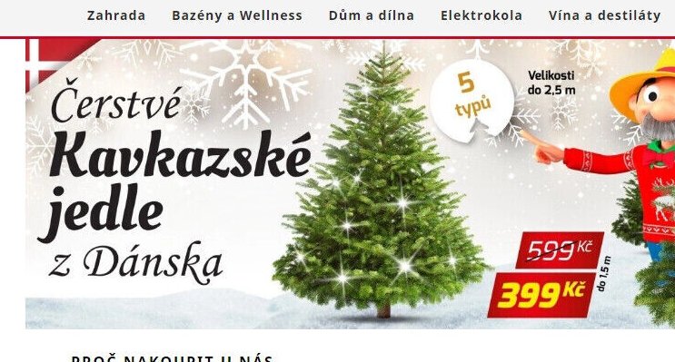 Kavkazské jedle z Dánska