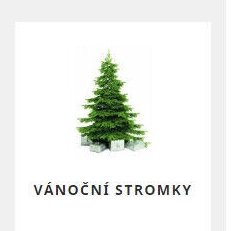 Vánoční stromky