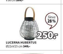 LUCERNA HUBERTUS