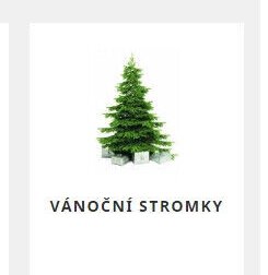 Vánoční stromky