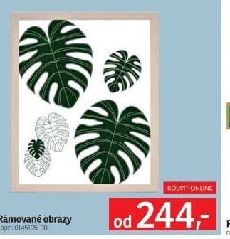 Rámované obrazy