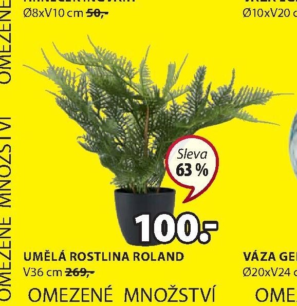 UMĚLÁ ROSTLINA ROLAND