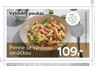 Penne se sýrovou omáčkou