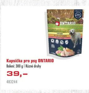 Kapsička pro psy ONTARIO