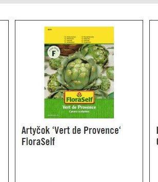 Artyčok 'Vert de Provence' FloraSelf