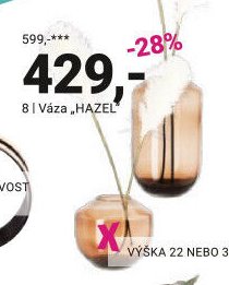 Váza, HAZEL