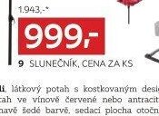 Slunečník
