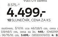 Slunečník