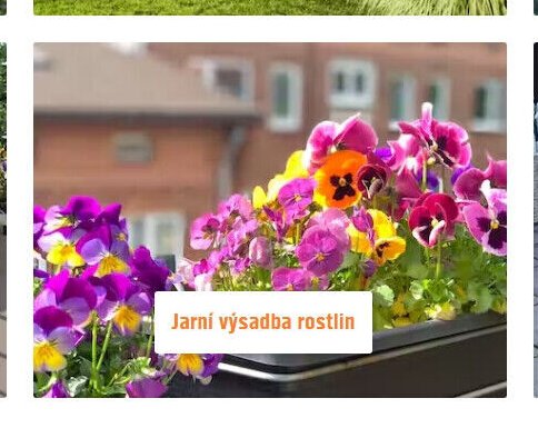 Jarní výsadba rostlin