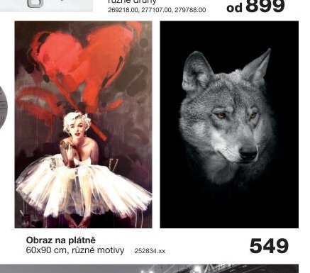 Obraz na plátně