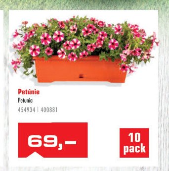 Petúnie