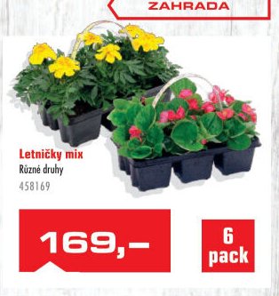 Letničky mix