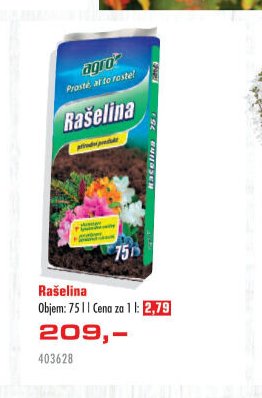 Rašelina
