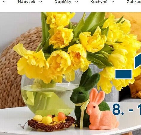 Váza s tulipány