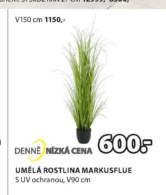 UMĚLÁ ROSTLINA MARKUSFLUE