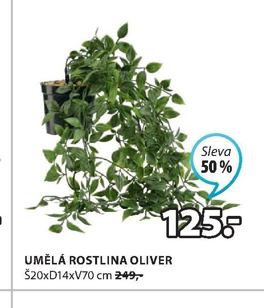 UMĚLÁ ROSTLINA OLIVER