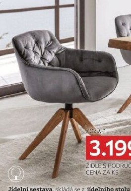 Židle s područkami