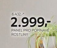 PANEL PRO POPÍNAVÉ ROSTLINY