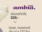Slunečník