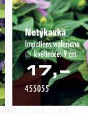 Netýkavka