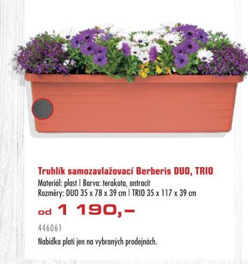 Truhlík samozavlažovací Berberis DUO, TRIO
