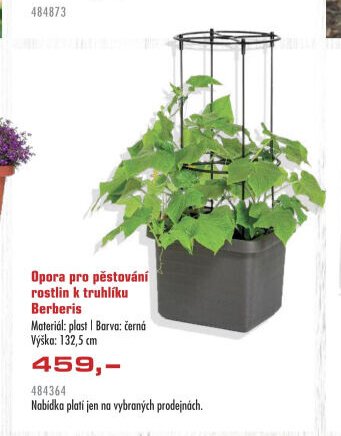 Opora pro pěstování rostlin k truhlíku Berberis