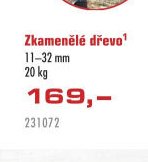Zkamenělé dřevo