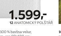 12 ANATOMICKÝ POLŠTÁŘ