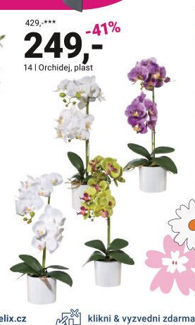 Orchidej, plast