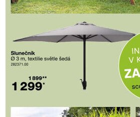 Slunečník