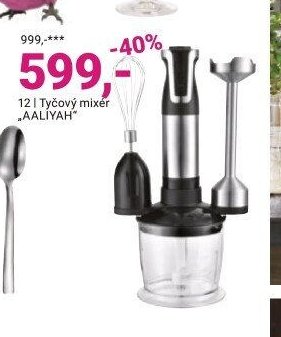Tyčový mixér AALIYAH