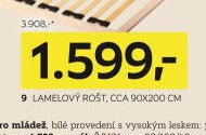 9 LAMELOVÝ ROŠT, CCA 90X200 CM