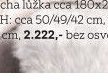 Pasparta