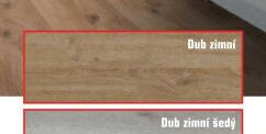 Dub zimní