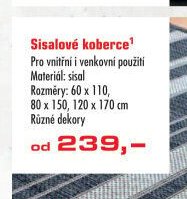 Sisalové koberce