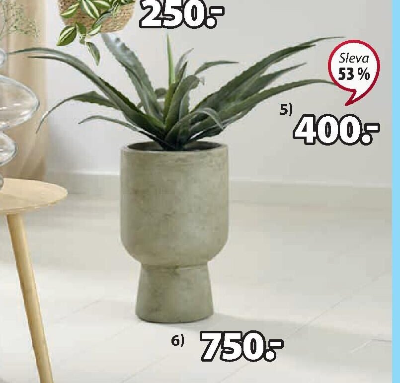 UMĚLÁ ROSTLINA CELIUS V65 cm