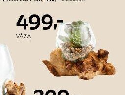 Váza