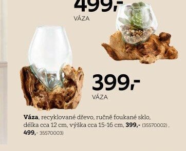 Váza