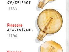 Pinecone